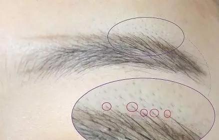 初学怎样修眉毛好看又自然视频,怎么修眉修适合自己的眉形