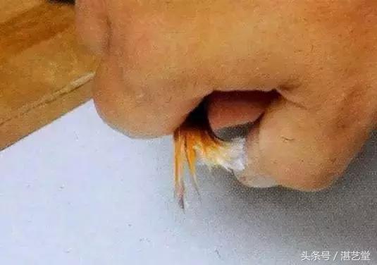 马利水彩画留白液,水彩画的留白胶带