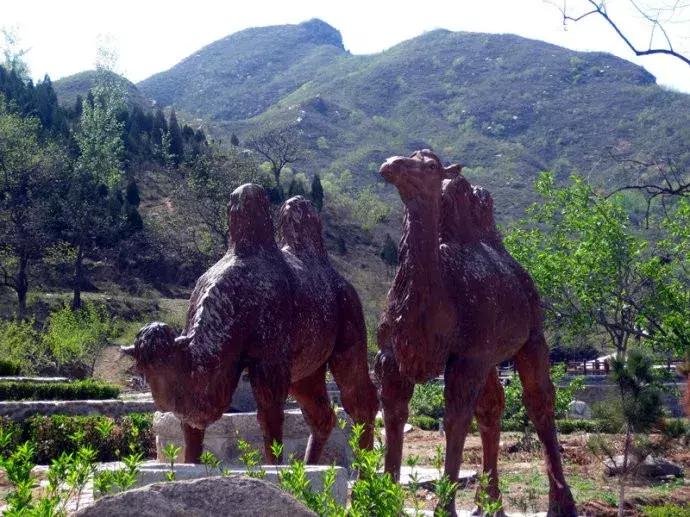 石家庄周边免费爬山线路分享,石家庄周边免费登山地点