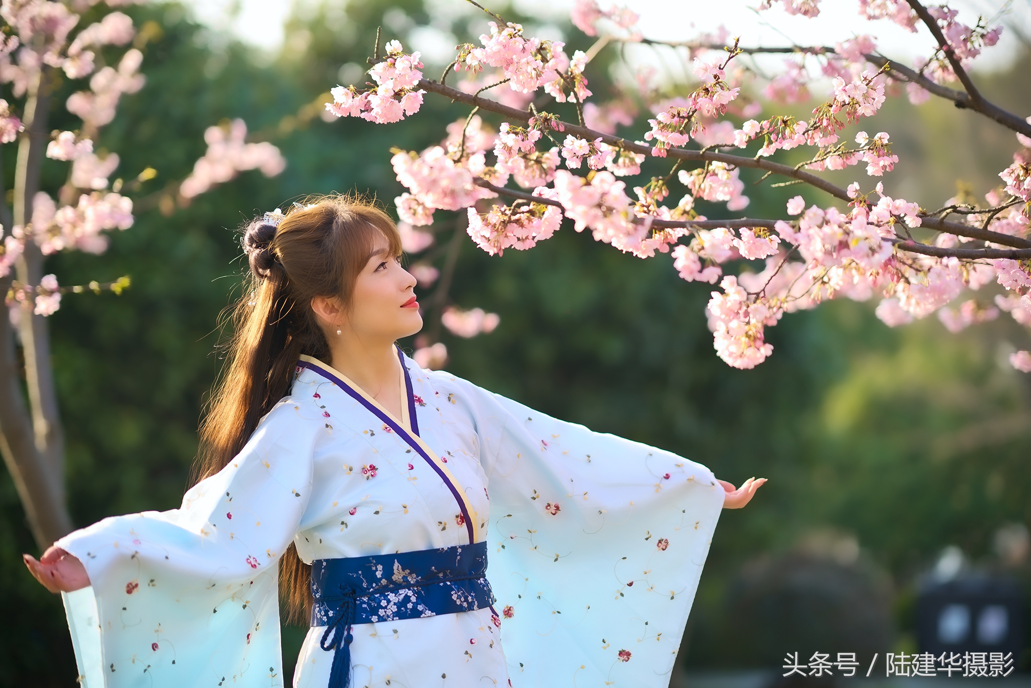 太湖鼋头渚樱花谷,鼋渚樱花是春天最浪漫的邂逅