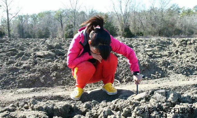 惊现淘宝之地，你也可以免费捡钻石