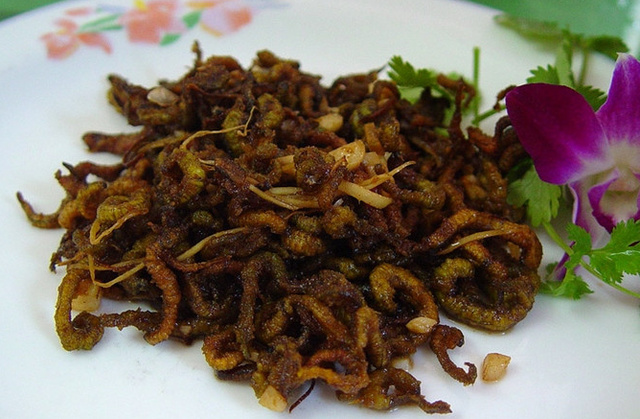 农村常吃的十种虫子,中国可以吃的六种虫子你敢吃吗