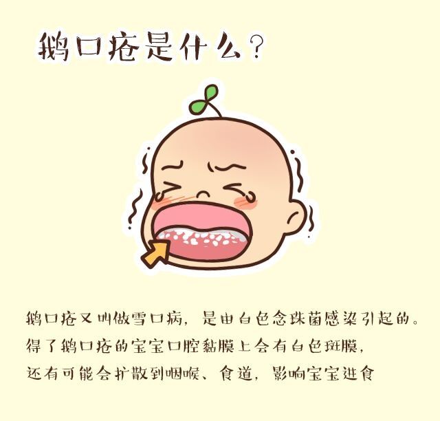 婴儿的护理举措,婴儿的护理主要是哪些方面
