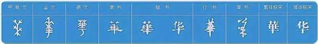 看到这些汉字，我感觉自己的语文白学了！