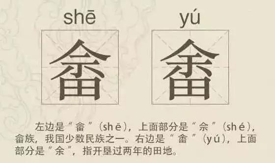 看到这些汉字，我感觉自己的语文白学了！
