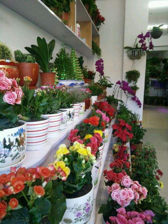 适合小投资的创业项目穷人首选,2018创业好项目小生意