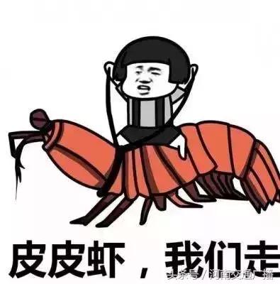 第三季度郑州平均工资为8729元,郑州实际平均工资有多少
