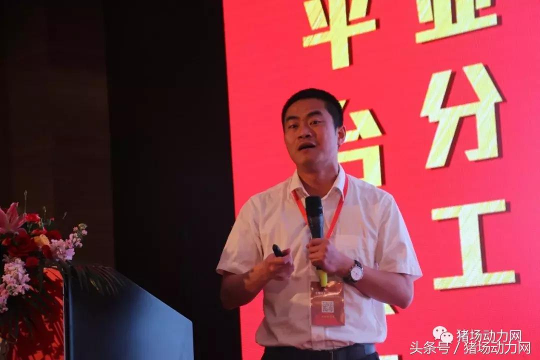 双胞胎饲料2015销量,双胞胎饲料2017年销售多少