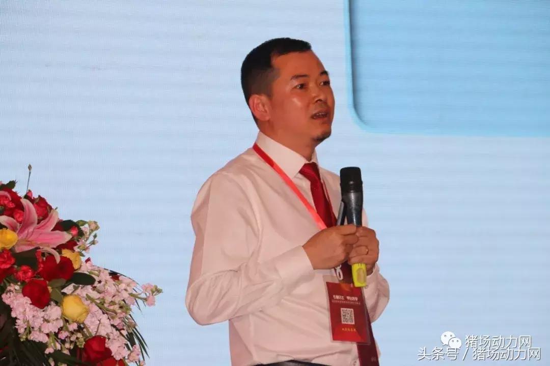 双胞胎饲料2015销量,双胞胎饲料2017年销售多少