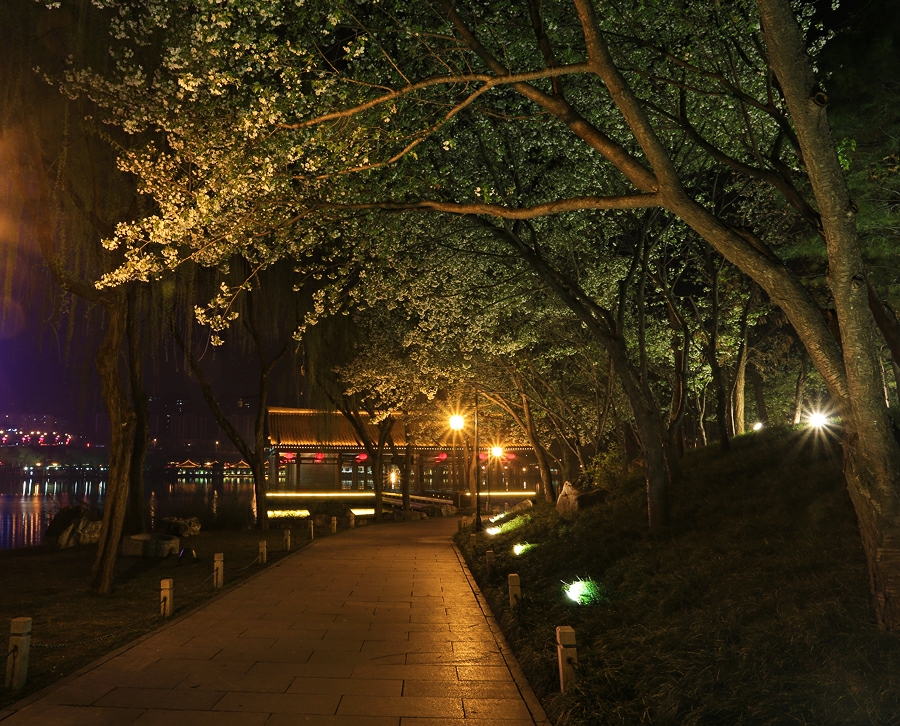 西安曲江南湖公园游玩攻略,曲江池遗址公园是南湖吗