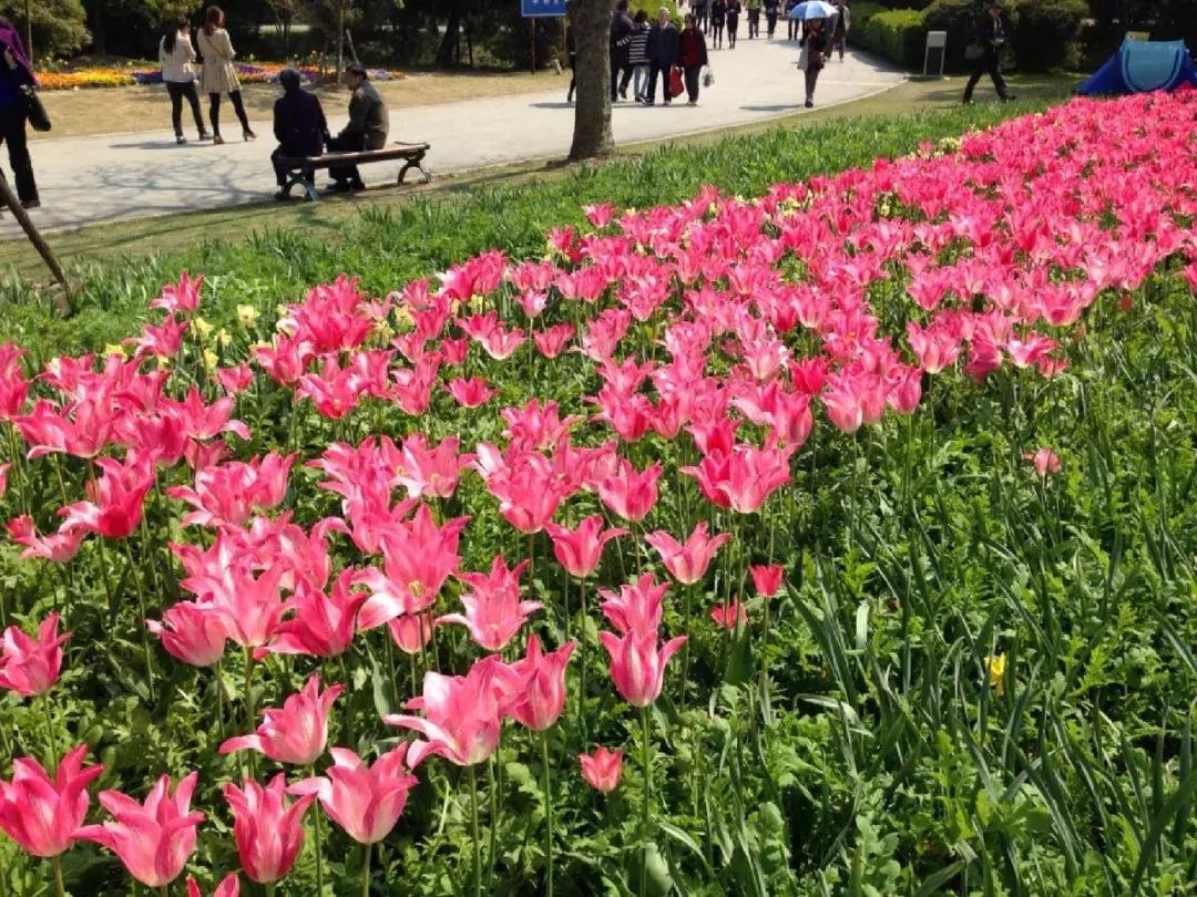 上海地铁最新换乘首末班车时刻表,2023上海地铁末班车时间