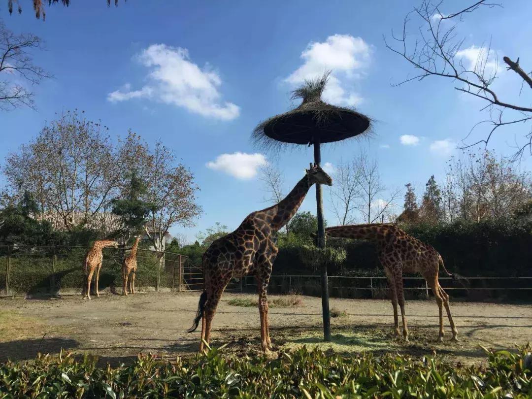 上海地铁最新换乘首末班车时刻表,2023上海地铁末班车时间