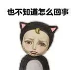 歪果仁误会中国人会武功的例子,歪果仁真的喜欢熊猫吗