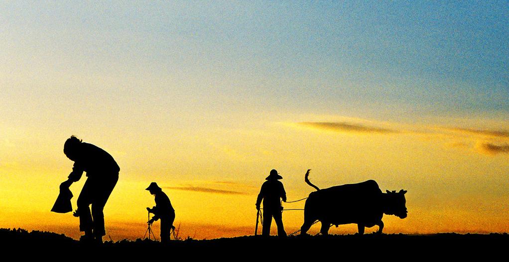 春分节气的由来特点有哪些,今日春分你知道春分有哪些习俗吗