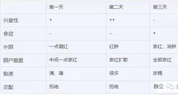 断奶母猪需要诱情吗,母猪断奶后第一次返情能配吗