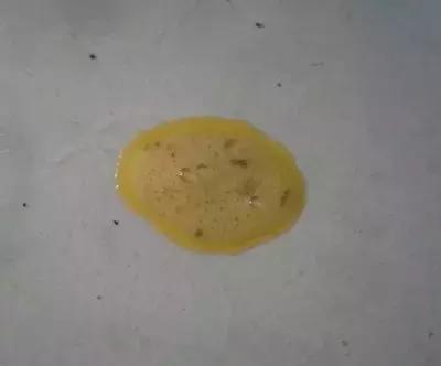 狗狗想呕吐却吐不出来什么原因,狗狗吐白沫黏液抽搐呕吐怎么办