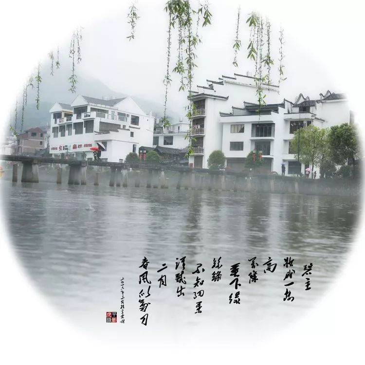 西浦村状元叫什么,西浦状元故里