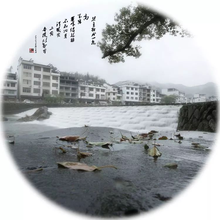 西浦村状元叫什么,西浦状元故里