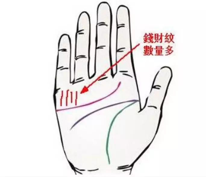左手握资产右手握税源,左右手掌纹都代表什么运势