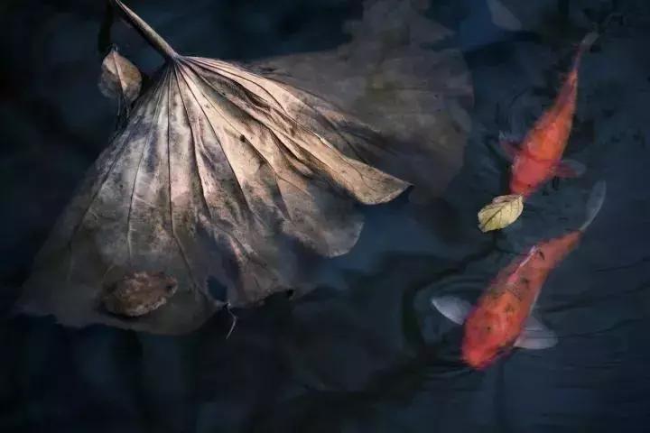 北京小央美国学未来馆，为爱前行，全国开放加盟~