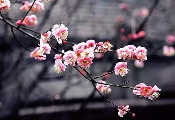 北京小央美国学未来馆，为爱前行，全国开放加盟~