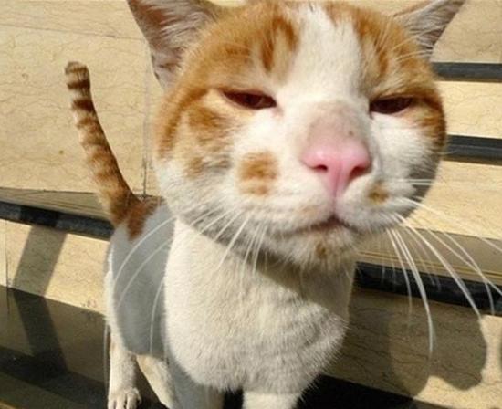 2018年的娱乐圈是什么样的,2018娱乐圈