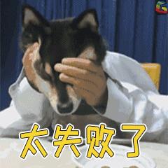 自考失败的原因，全在这里了！（仔细查看，警示自己）