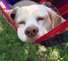 自考失败的原因，全在这里了！（仔细查看，警示自己）