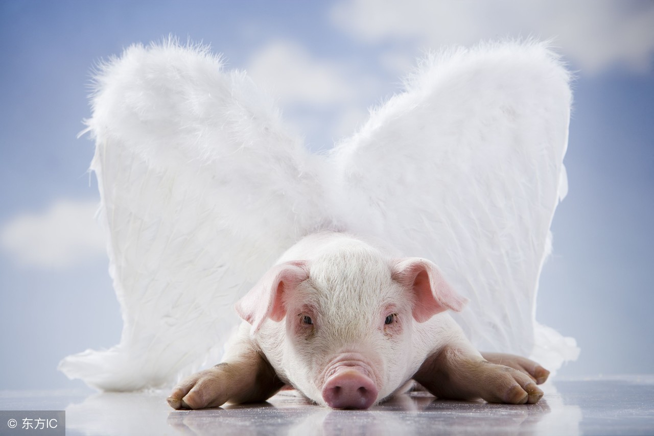 找工作要避坑的事,找工作不要怕门槛