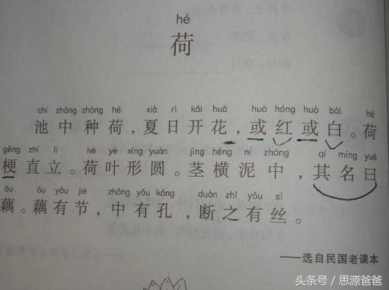 小学小古文学习方法和技巧,小学低年级学生如何学习小古文