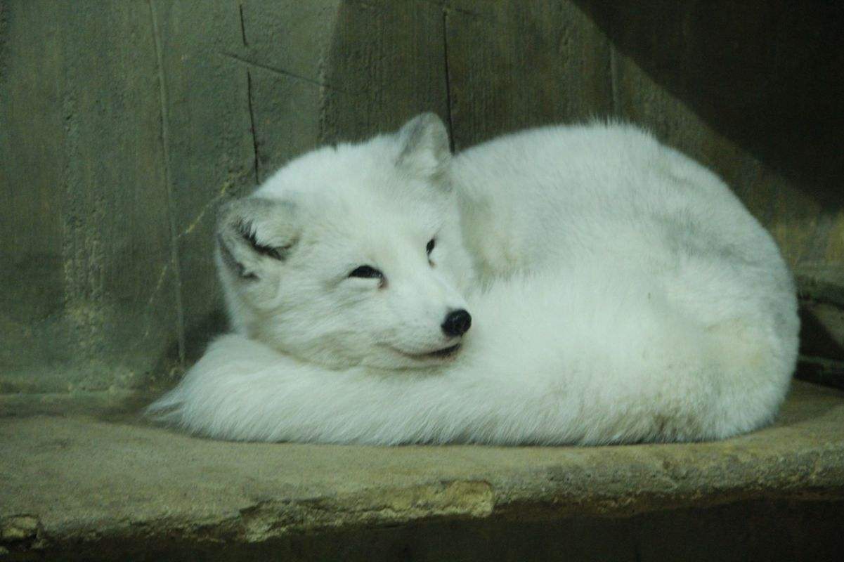 奇闻异事怪谈录漫画,奇闻趣谈鬼怪