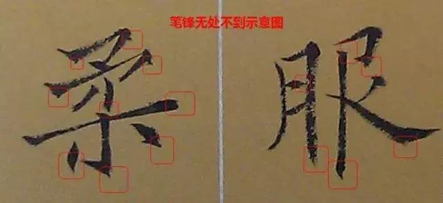 书法学习如何令笔锋立起来？