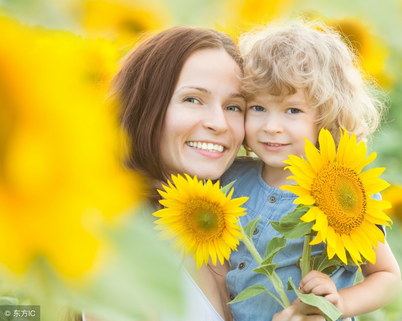 没有未来的婚姻该不该继续,婚姻没有感情了该不该继续