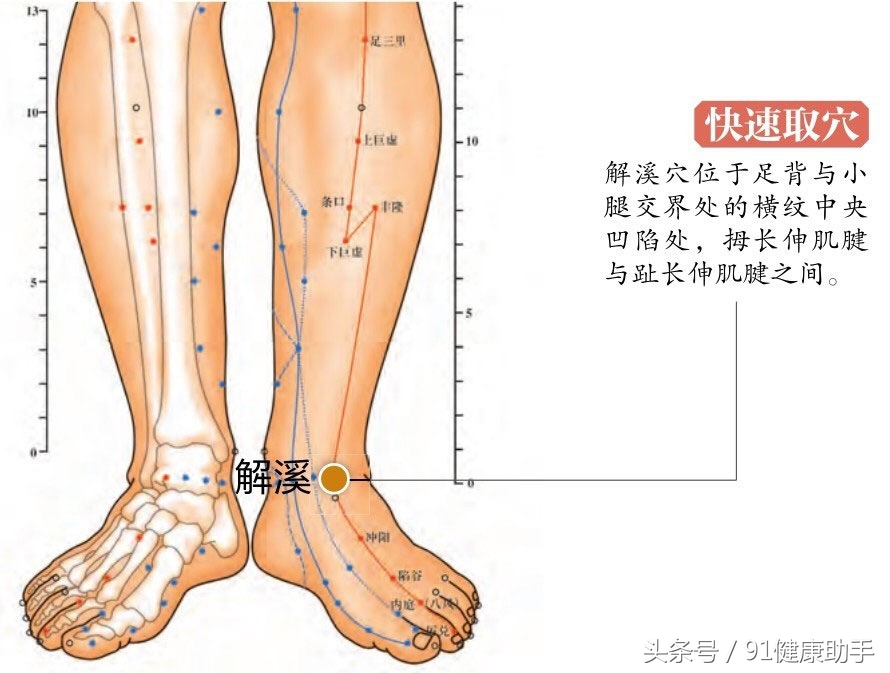 穴位缓解牙痛,治牙疼合谷穴位图