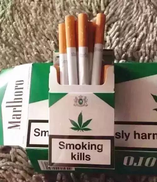 哪种烟绝对没假烟,真烟和假烟抽起来区别不大