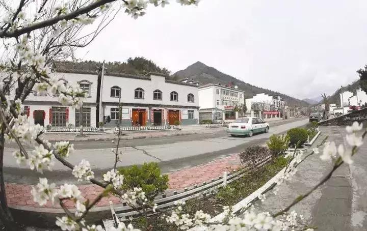 中国三年一评,三年评先进