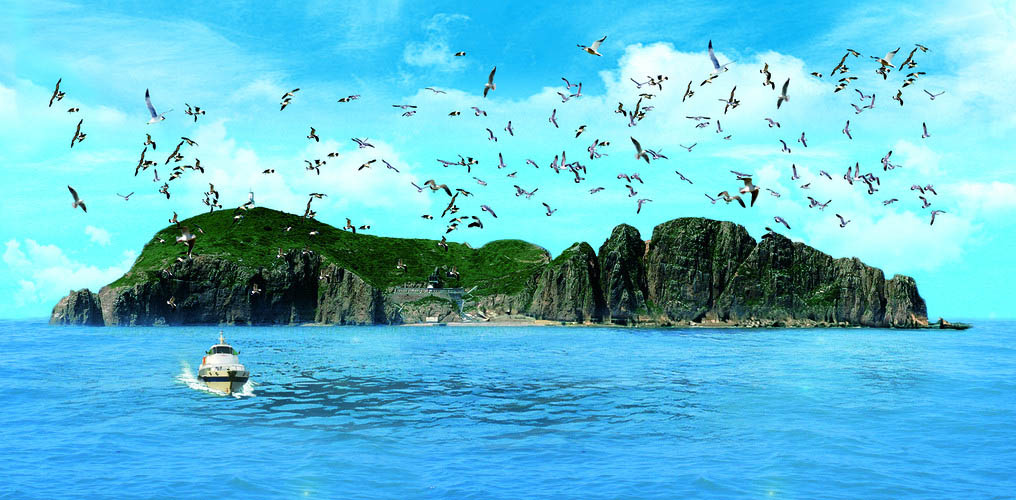 春季去哪里看鸟比较好？山东荣成海驴岛万鸟齐鸣，翱翔天际