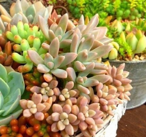 身在天涯心在咫尺情在心里,身在天涯心在墨里是什么意思