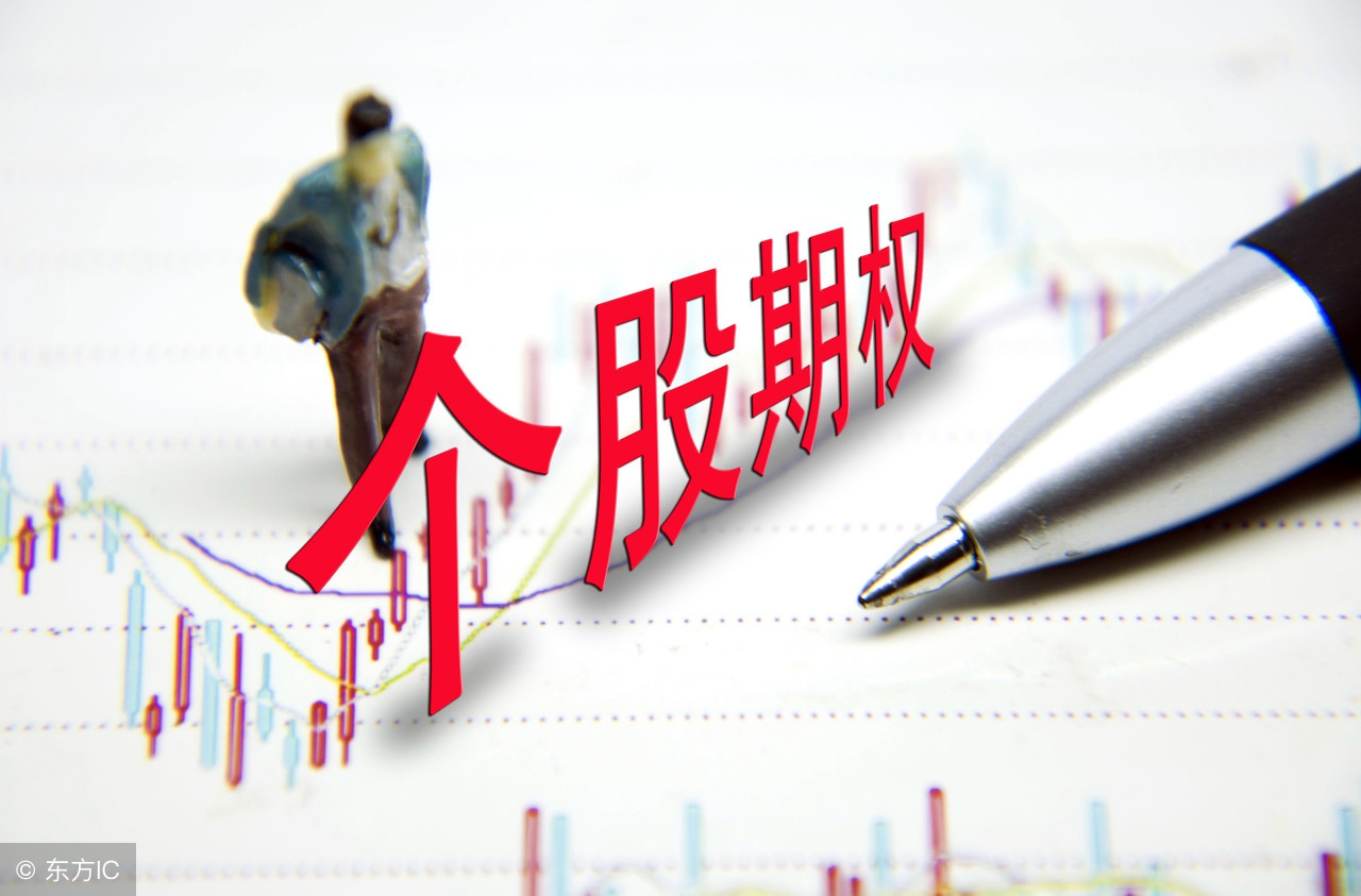 股权回购协议模板,股权期权激励方案模板最新整理版