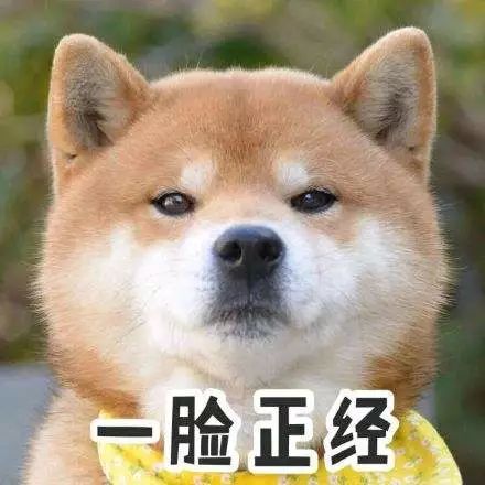 发现一枚比杜江更宠妻，比小贝会带娃的男神！颜值高更顾家的男神