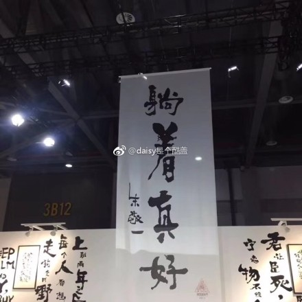 直击火爆全网的国字脸猴子,越看越像猴子一样的人