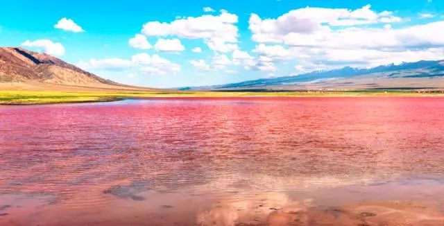 美到极致的粉色旅行,全球十大粉色景点