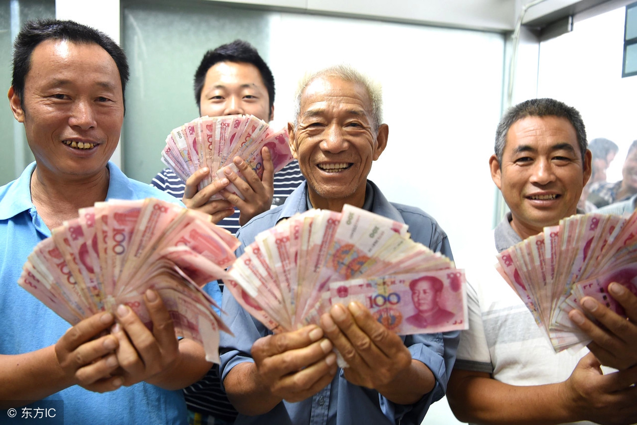 京东养鸡申请条件,京东合作养鸡最新政策