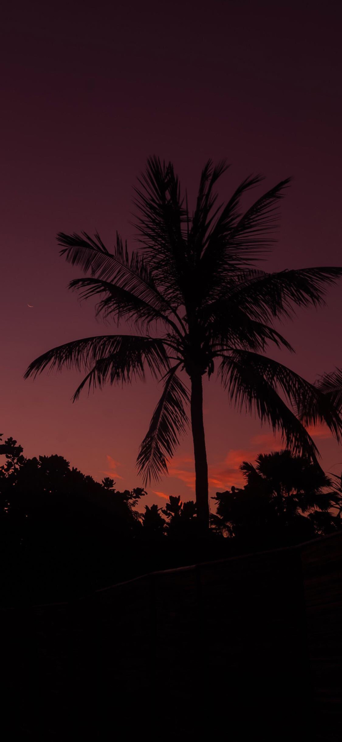 苹果x手机壁纸超清财神爷,苹果x壁纸超清潮牌