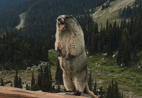 男孩头皮无缘无故很痒是怎么回事,12岁男童头皮发麻会疼是怎么回事