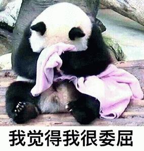 欧文右肩手术,欧文左膝骨折