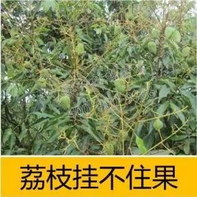 余教授讲座完整视频,余教授工艺大讲堂