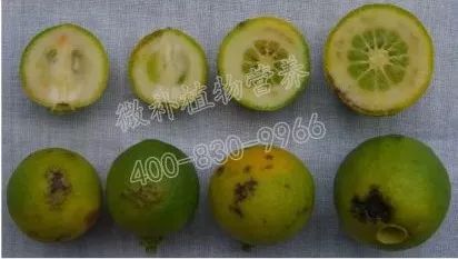 余教授讲座完整视频,余教授工艺大讲堂