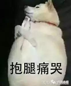 发国外上课照片、带货小视频…朋友圈结识的海外代购,全靠演!