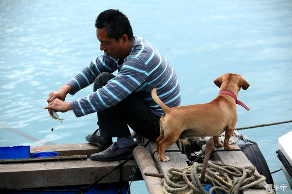 三亚东岛豪华游艇一日游,三亚东岛海鲜